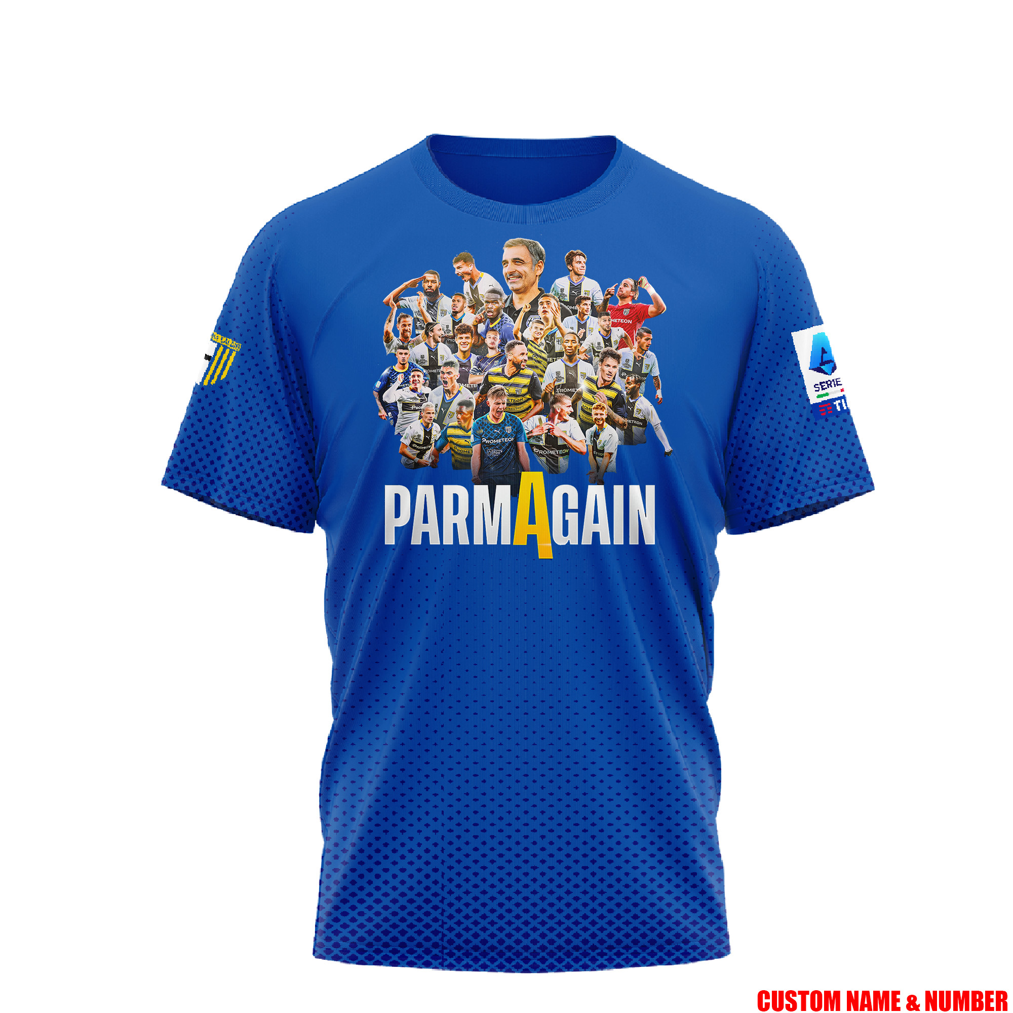 Panthers Premiers  Tshirt Limited Editon